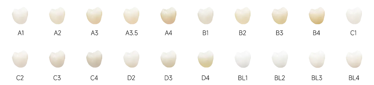 魅影全能_畫(huà)板 1 副本 5 拷貝.webp