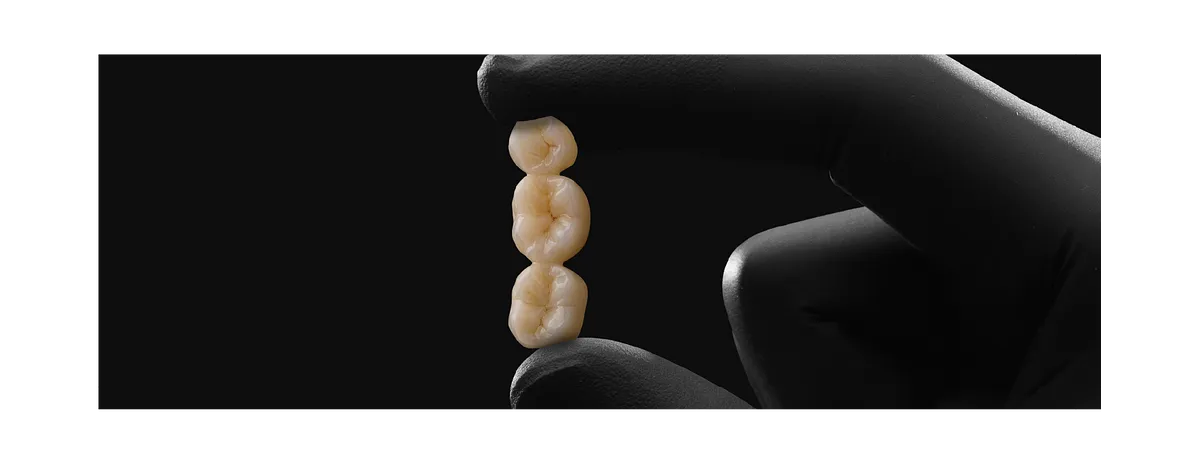 魅影標準_畫板 1 副本 8.webp